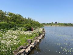 -上海海湾国家森林公园
