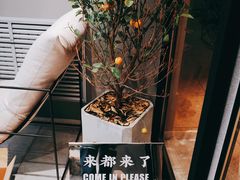 -UP阿噗甜品