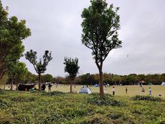 -上海吴淞炮台湾国家湿地公园