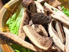 -滇野云南野生菌餐厅(陕西南路店)