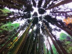 -山王坪喀斯特国家生态公园