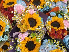 -循礼门鲜花花市(武汉循礼门店)