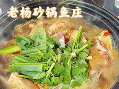 -老杨砂锅鱼庄