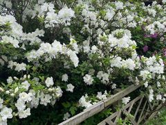 -木兰云雾山