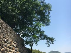 -山沟沟景区