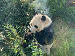 -无锡动物园·太湖欢乐园