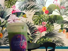 -Flamingo Bloom(TST /尖沙咀店)