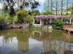 -郑和公园