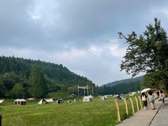 -武陵山森林公园