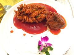 松鼠鳜鱼-扬州饭店(东关街店)