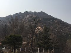 -北京鹫峰国家森林公园