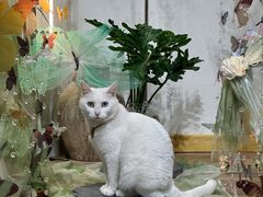 -南枝小馆(银鱼巷店)