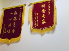 -乖乖宠物医院·猫科·急重症中心(车站北路分院)