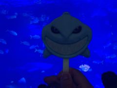 -烟台海昌鲸鲨海洋公园