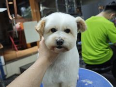 -转角宠物(转塘方家苑店)