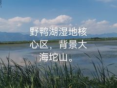 -野鸭湖国家湿地公园