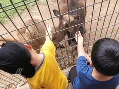 -费瑟代尔野生动物园