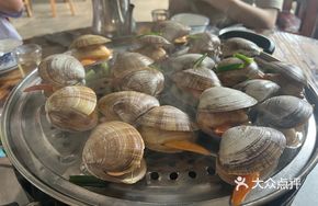 Korean Large Yellow Clam