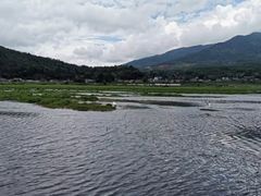-腾冲北海湿地