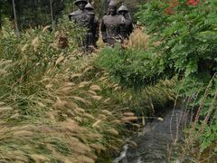 -武清南湖绿博园