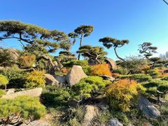 -罗红摄影艺术馆