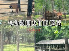 -秦皇岛野生动物园