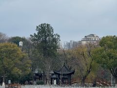 -甘棠公园