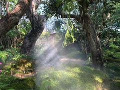 -Chom Cafe and Restaurant