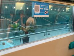 -龙阳路磁悬浮列车总站-停车场