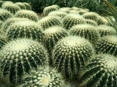 -上海多利农业发展有限公司