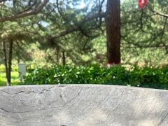 -尧庙景区
