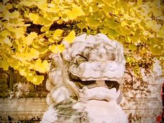 -北京石刻艺术博物馆(五塔寺)