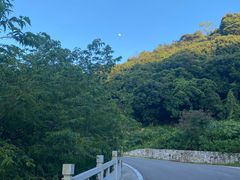 -阳台山森林公园