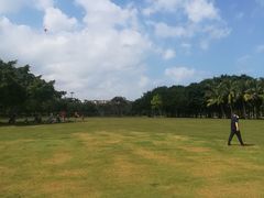 -万绿园