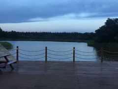 -崇明东平国家森林公园烧烤房车露营地