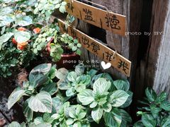 -猫的天空之城概念书店(杭州南宋御街店)