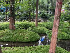 -成都市活水公园