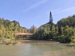 -云溪植物园