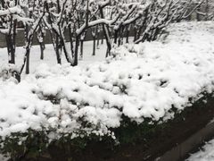 -春晖园度假酒店温泉