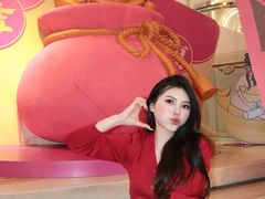 -石狮世茂摩天城摩天轮