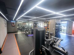 -健身专家Wellness Experts