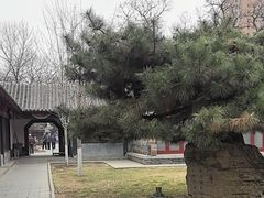 -护国法轮寺