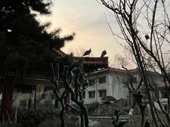 -舜耕山庄四时万和自助餐厅