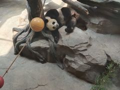 -宁波野生动物园