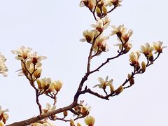 -颐和园