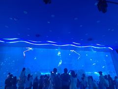 -石家庄极地海洋世界