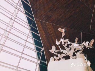 无boundless界