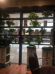 -LEE TIME·丽美时沙龙