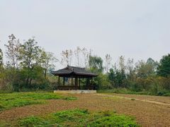 -白鹭湾湿地公园