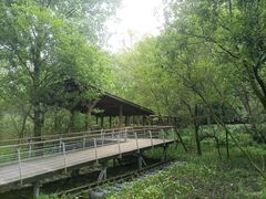 -西湖风景区-江洋畈生态公园